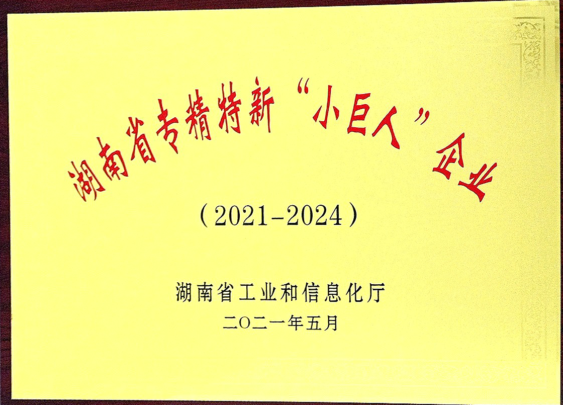 湖南省专精特新小巨人企业